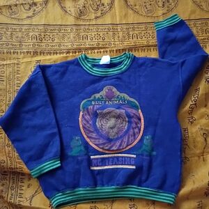 Oilily Vintage Blue and Green Childrens Crewneck Sweater